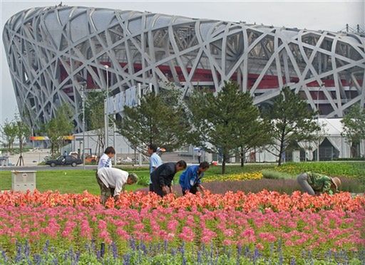 2,5 miliona kwiatów upiększy Pekin w czasie igrzysk