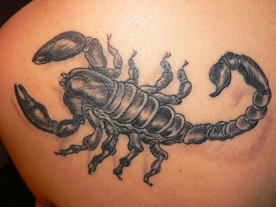 Kanibal, skorpion i i wściekły byk - tatuaże Internautów