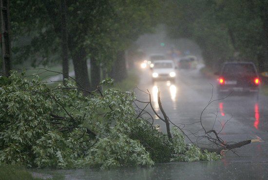 Meteorolodzy: niszczycielski żywioł może wyrywać drzewa z korzeniami