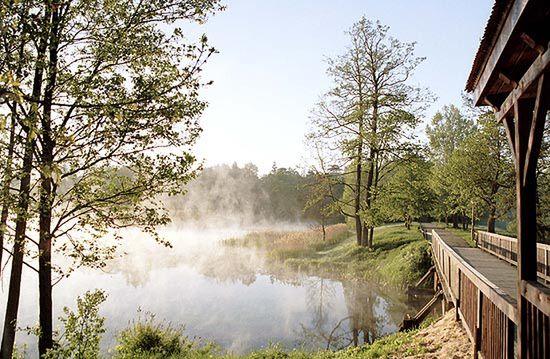 Mazury i Puszcza Białowieska w gronie półfinalistów