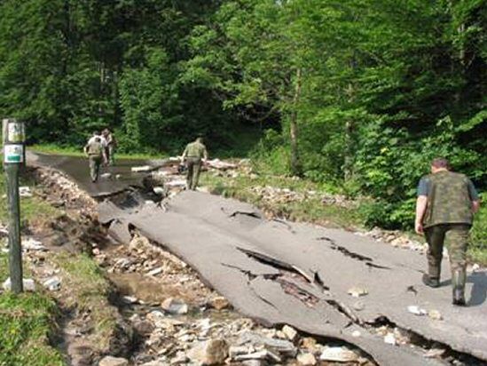 Powódź nie oszczędziła lasów - straty wynoszą 65 mln zł