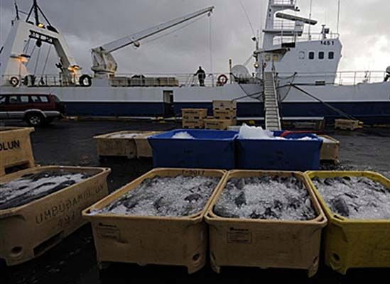 Polscy rybacy okupują islandzki kuter