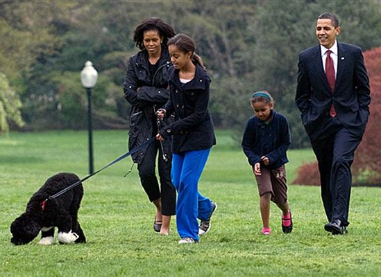 Pies córek Obamy bohaterem książki dla dzieci
