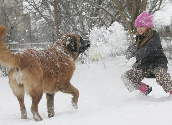 Synoptycy zapowiadają mróz i śnieg