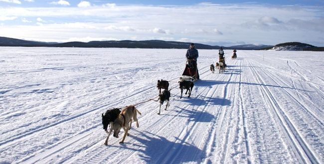 Historyczny rekord wyprawy do Laponii