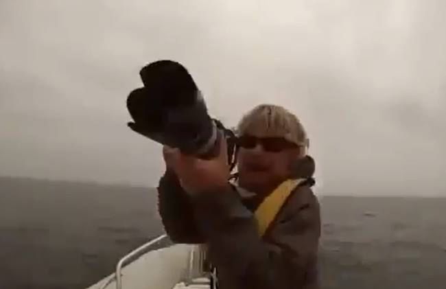 USA - wieloryby zaatakowały łódź
