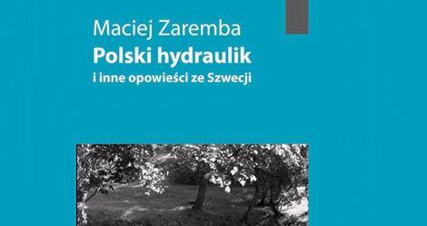 Polski hydraulik i inne opowieści ze Szwecji - Maciej Zaremba