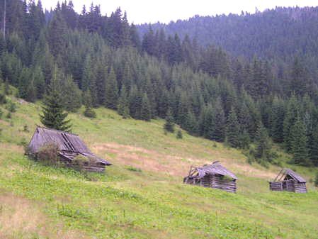 Tatrzański Park Narodowy remontuje pasterskie szałasy