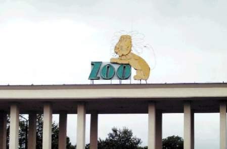 Nowy szef wrocławskiego zoo już niebawem