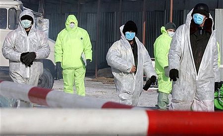 Rosja: zapalenie jelita, a nie ptasia grypa