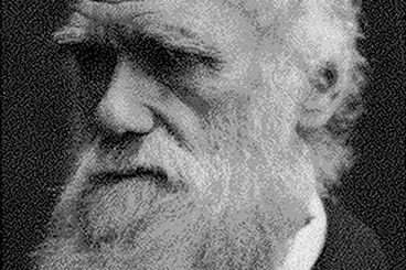 Amerykanie nie wierzą Darwinowi