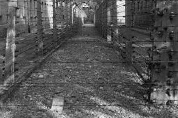 Mija 68 lat od pierwszej masowej egzekucji w Auschwitz-Birkenau