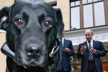 Pies Putina już korzysta z rosyjskiej nawigacji satelitarnej