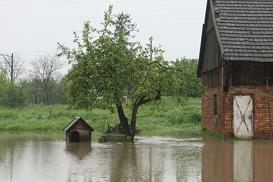 Sytuacja wciąż się pogarsza, ewakuowano już 2 tys. osób