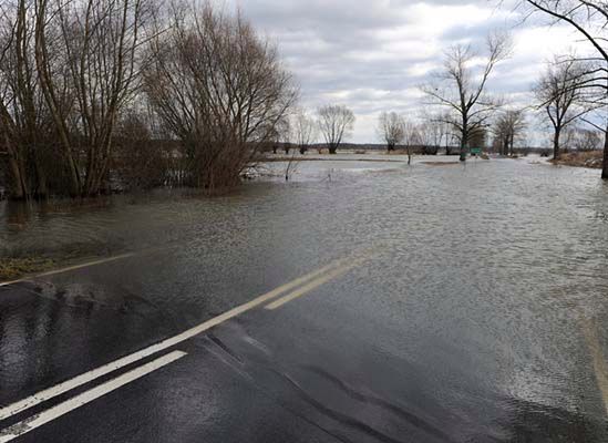 Meteorolodzy ostrzegają: lokalne rzeki mogą wylać