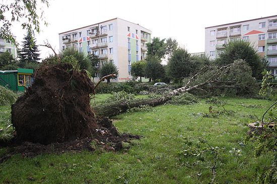 Nawałnice nad Polską - sprawdź, gdzie będzie groźnie