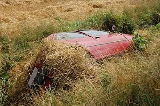 Wypadł z drogi, obsypał auto słomą, ukrył się w kukurydzy