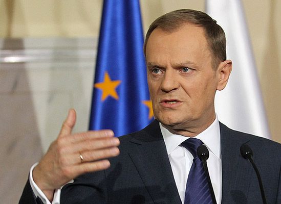 "Albo wyrżną połowę stada PO, albo zagryzą siebie"