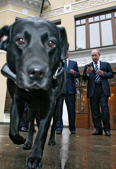 Pies Putina już korzysta z rosyjskiej nawigacji satelitarnej
