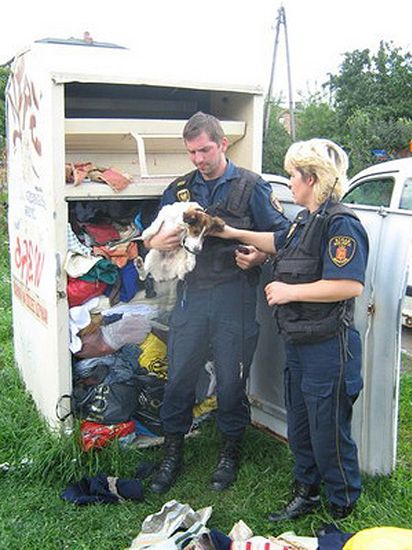 Pies skowyczał uwięziony w kontenerze na odzież