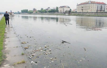 Wisłą spływają martwe ryby i butelki