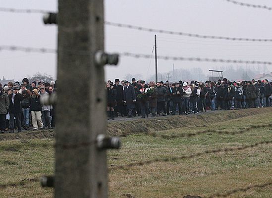 Dlaczego Niemcy ciągle prowokują Polaków?