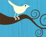 Twitter musi wydać informacje o sympatykach WikiLeaks