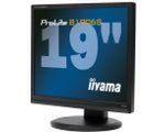 iiyama B1906S - monitor energooszczędny, ekologiczny i ergonomiczny