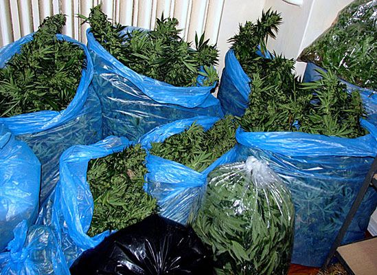 Policjanci przejęli narkotyki za ponad milion złotych