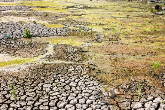 Afera klimatyczna - czy naukowcy nas okłamują?