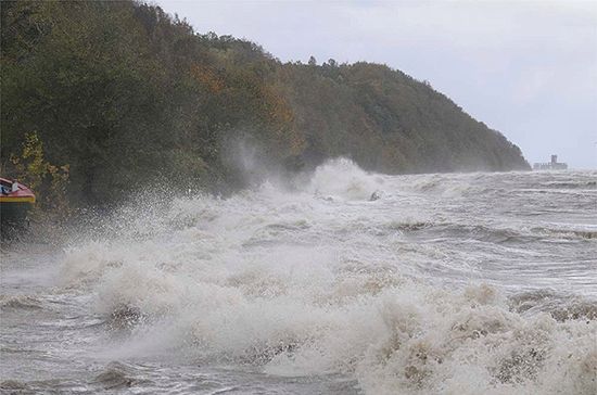 Meteorolodzy ostrzegają: będzie bardzo wiało