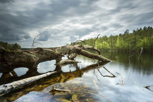 Błękitna Norda – morze inspiracji