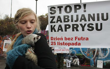 Protest przeciwko zabijaniu zwierząt dla futer