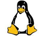 Linus Torvalds: osobiście używam Windows XP