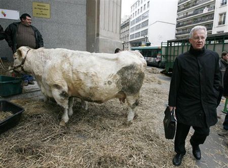 Skandal ze skażonym mięsem, kilkudziesięciu chorych