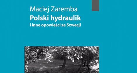 Polski hydraulik i inne opowieści ze Szwecji - Maciej Zaremba