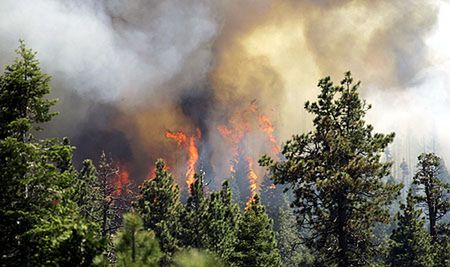 Pożar lasu w Kalifornii wymknął się spod kontroli