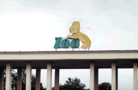 Nowy szef wrocławskiego zoo już niebawem