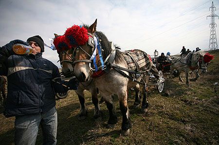 Ukradli siedemdziesięciolatce 200 litrów rakii