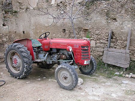 Serwer i Traktor doskonałymi imionami dla dzieci?