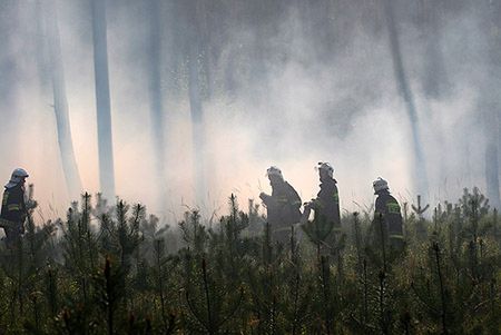 Płonie las w Beskidzie Śląskim