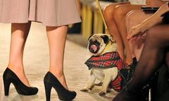 Nawet nie zauważysz, czym przyciągnie ta reklama