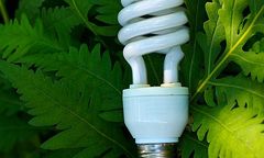 Masowy wykup stuwatowych żarówek