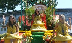 Wybrano piękną Królową Mirabelki