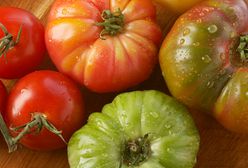 Zatrute pomidory - sabotaż czy wypadek przy pracy?