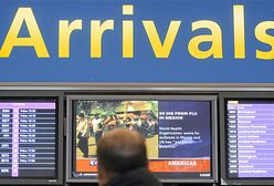 We Francji nie ma paniki z powodu świńskiej grypy