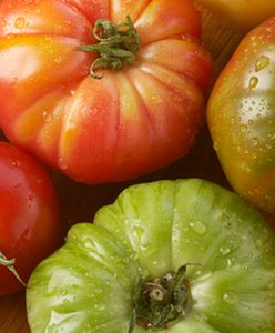 Zatrute pomidory - sabotaż czy wypadek przy pracy?