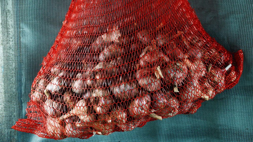 Czego nie wolno łączyć z lekami?