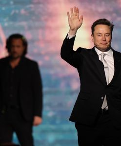 AI Muska rzuca wulgaryzmami. Dostało się polskim politykom