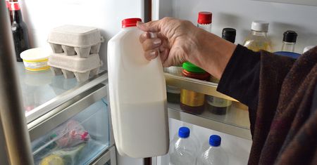 Gdzie najlepiej trzymać mleko? Większość z nas popełnia błąd
